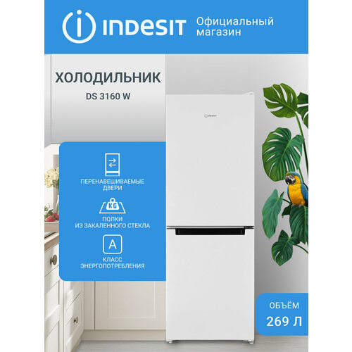 Холодильник Indesit DS 3160 W двухкамерный, 269 л, белый, ручная разморозка — купить, цена, характеристики