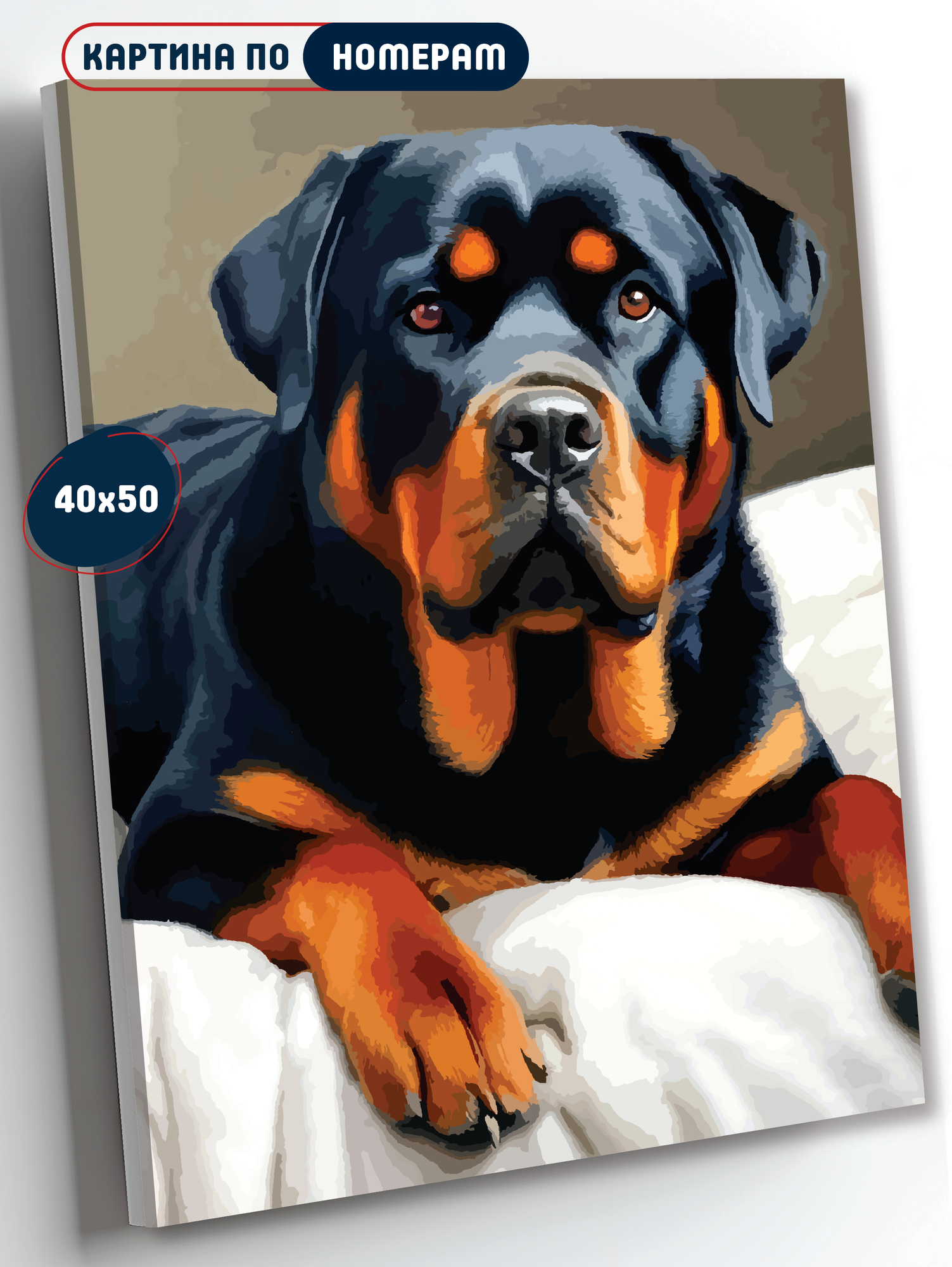 Картина по номерам "Ротвейлер", Холст на подрамнике 40х50, набор для рисования, с животными