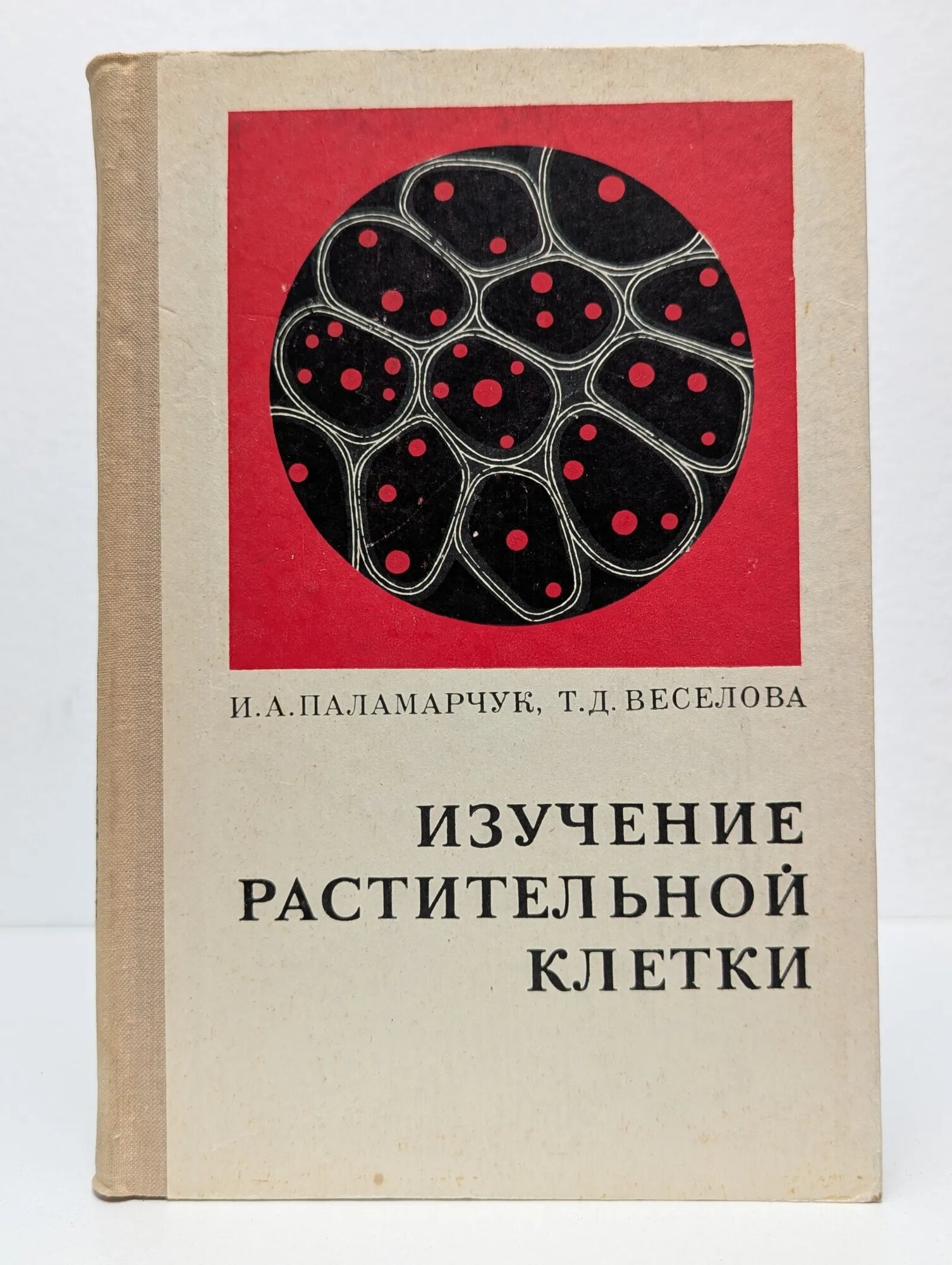 Изучение растительной клетки Паламарчук Ирина Александровна, Веселова Татьяна Дмитриевна 1969