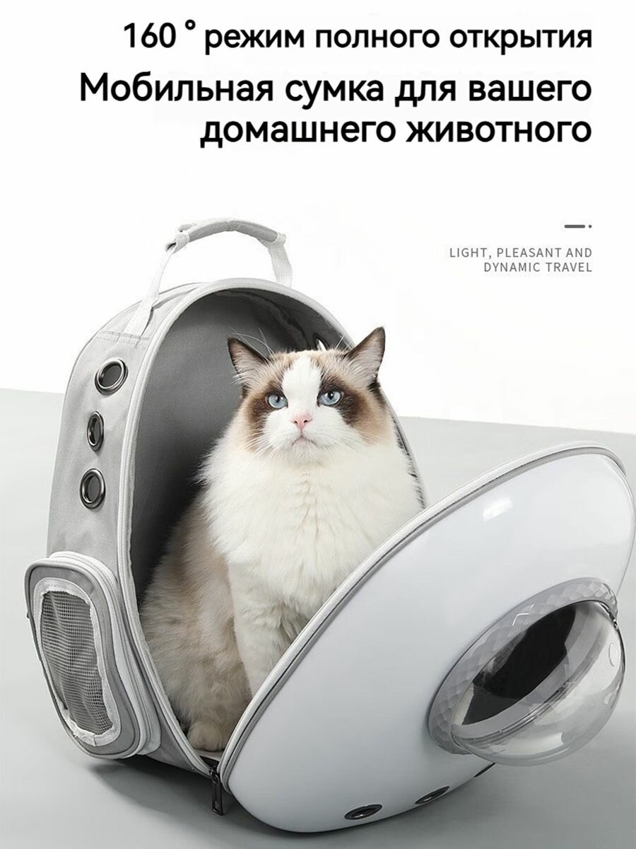 Картинки Рюкзак-переноска для кошек с прозрачным окошком, аксессуар для животных