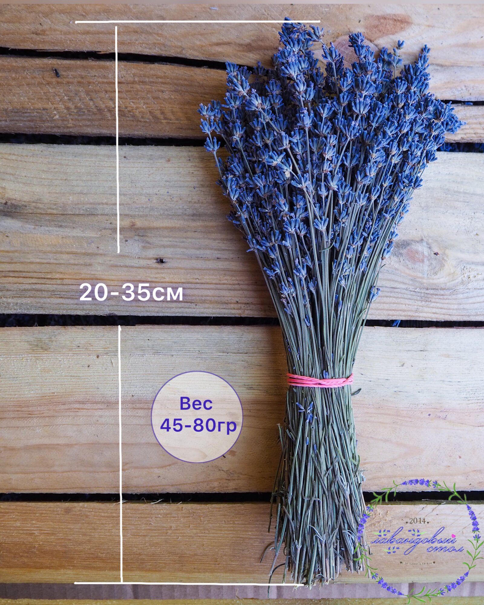 Сухоцвет Лаванда Синева 27 см