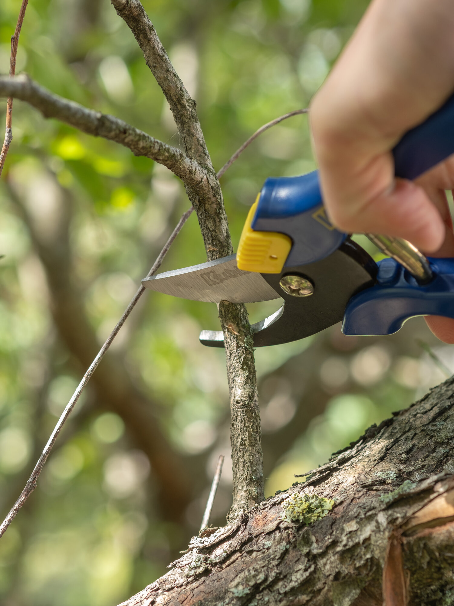 Секатор садовый 215 мм, сталь Mn65, сучкорез для дачи, сада, огорода — фото 1