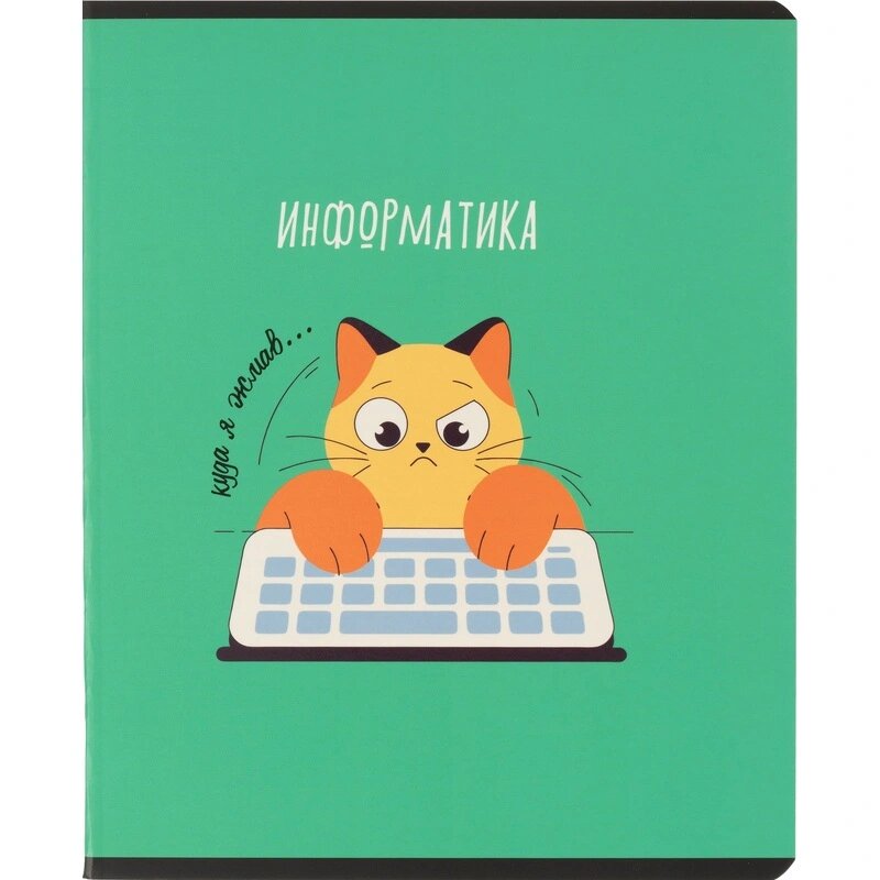 Тетрадь предметная Комус Класс Котики, 48 л, А5, клетка, информатика