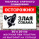 Табличка "Осторожно! Злая собака", размер 20х30 см, ПВХ 3мм, УФ-п...