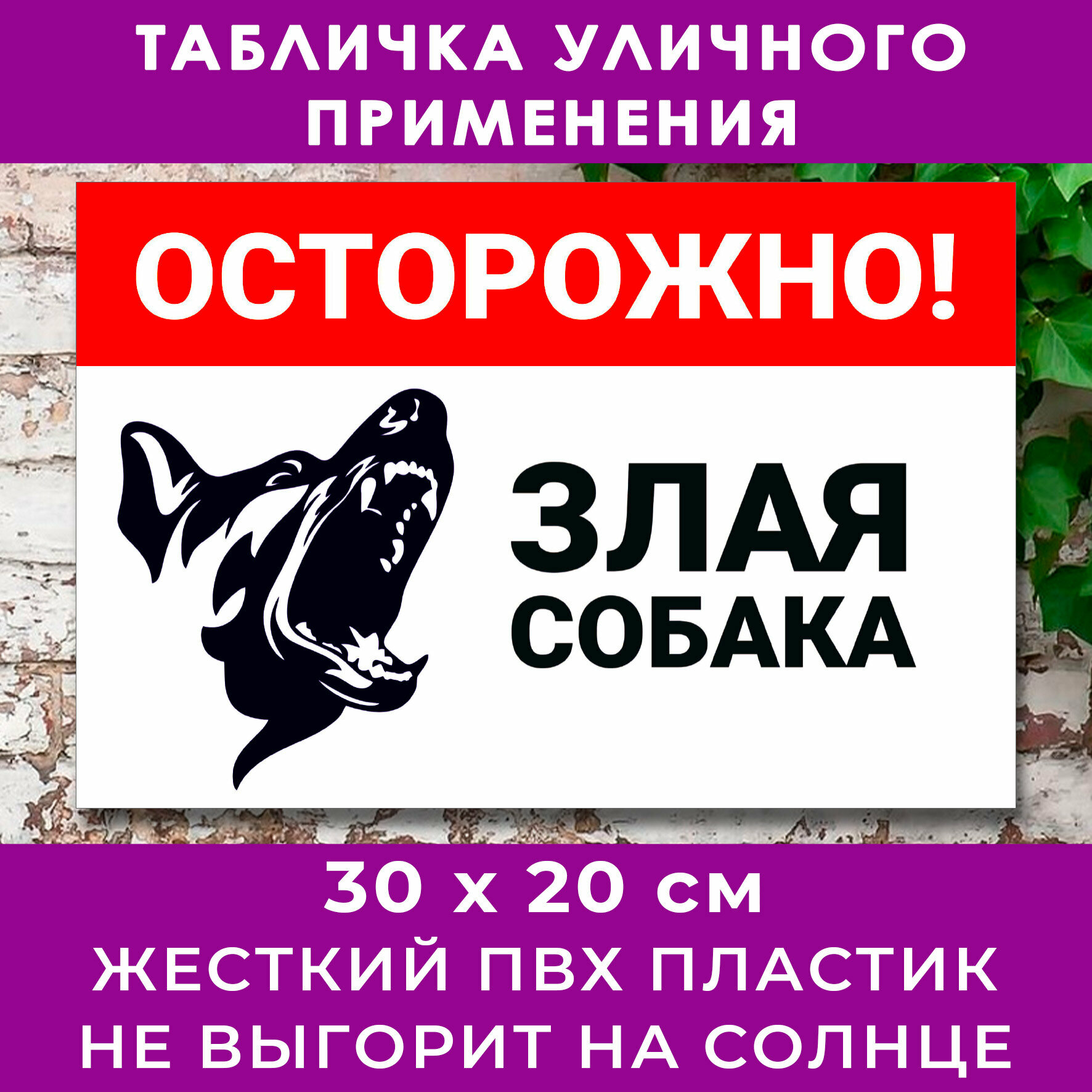 Табличка "Осторожно! Злая собака", размер 20х30 см, ПВХ 3мм, УФ-печать