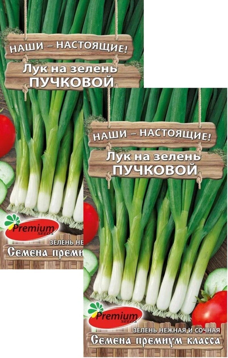 Семена Лук на зелень (батун) Пучковой (1 г) 2 пакета Премиум Сидс