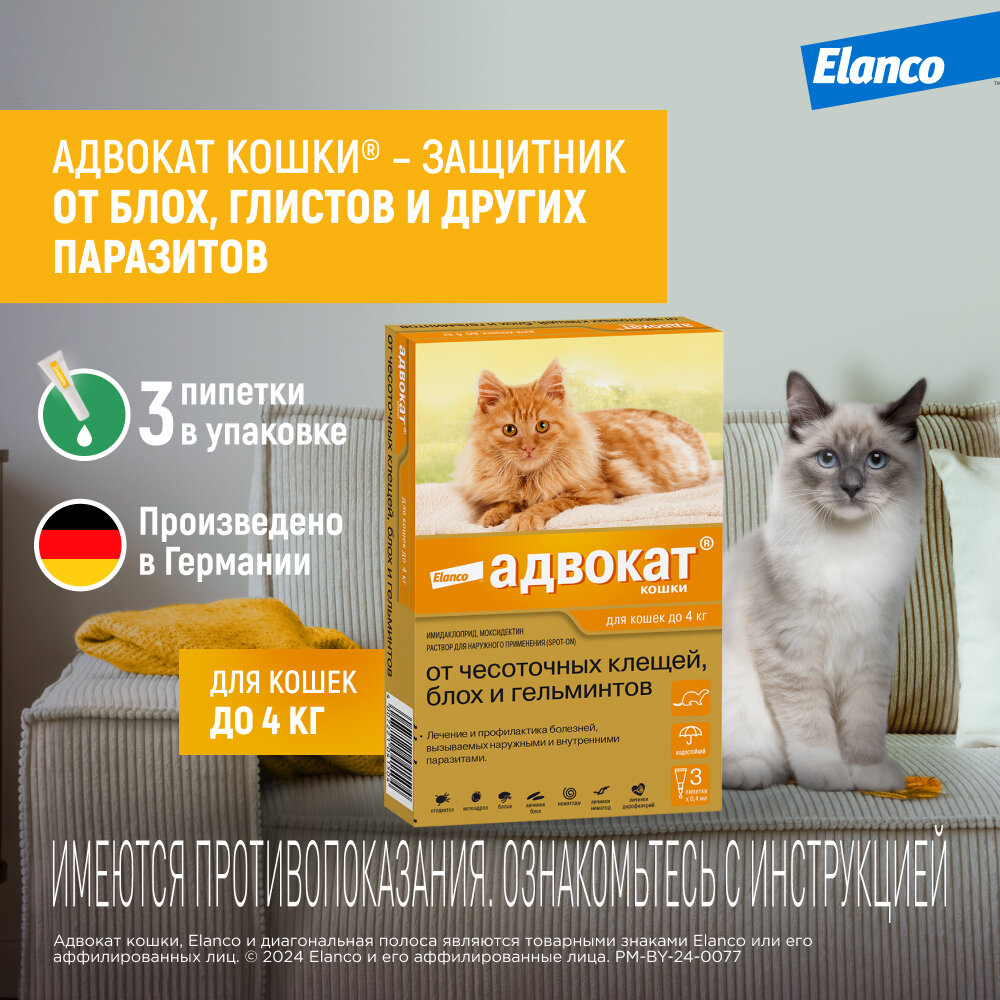 Адвокат кошки (Elanco) - капли на холку от чесоточных клещей, блох и гельминтов для кошек и хорьков до 4 кг – 3 пипетки