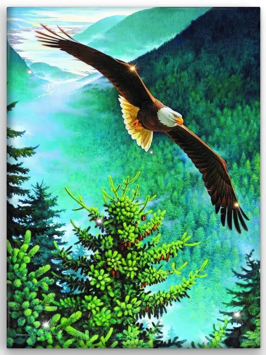 Алмазная мозаика ALMAZIKA 