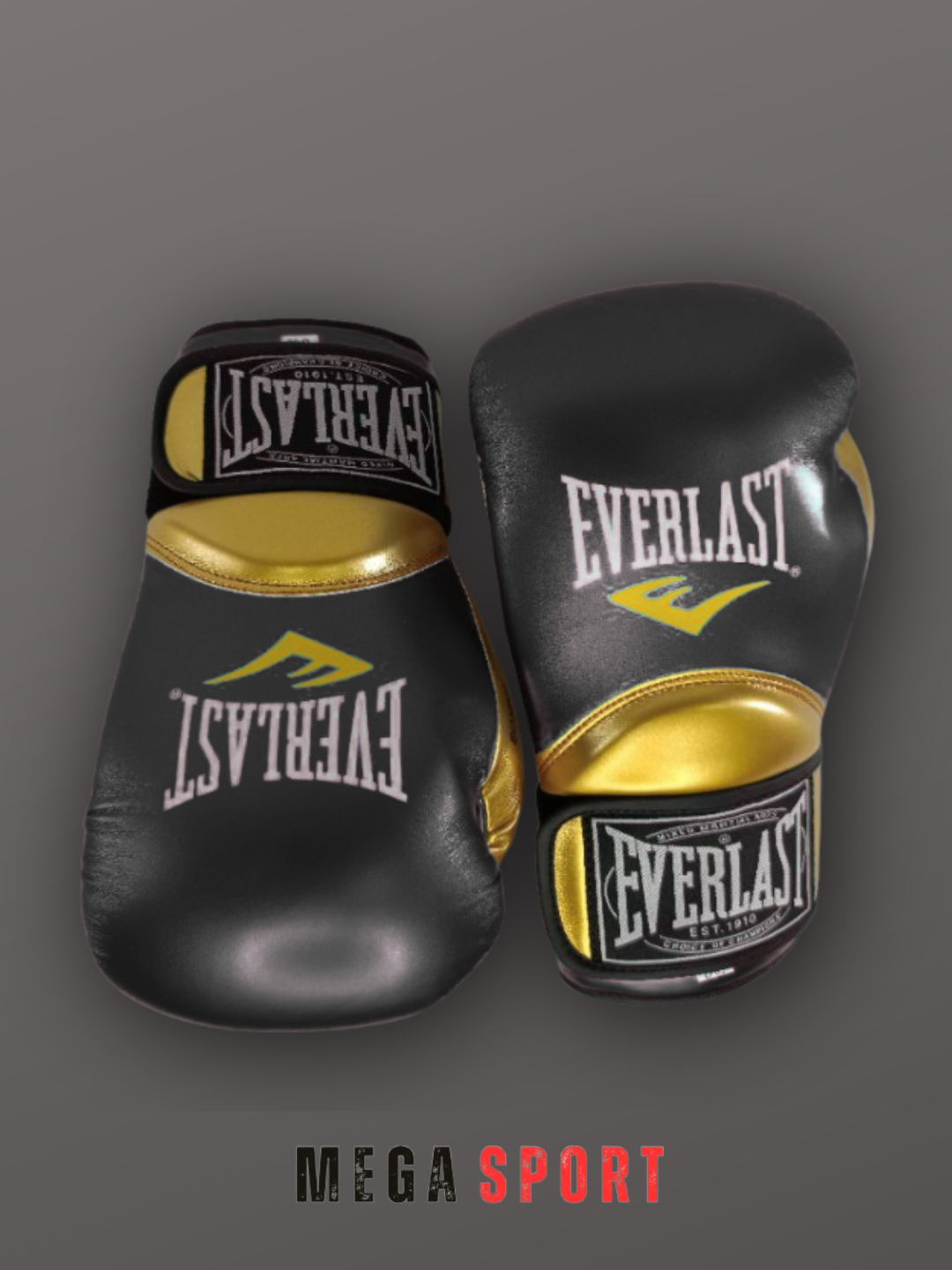 Боксерские перчатки Everlast_QORA_14 — фото 1