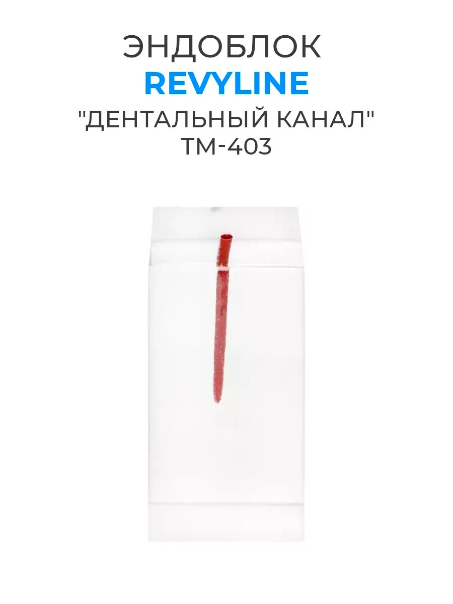 Эндоблок Revyline "Дентальный Канал", стоматологический, имитация, ABS-пластик
