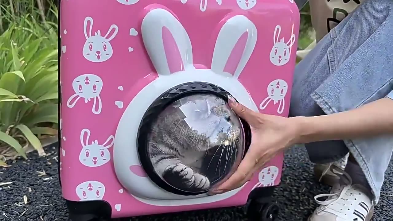 Универсальный чемодан для похода для кошек 45 * 23 * 38 см, (5091) — фото 1