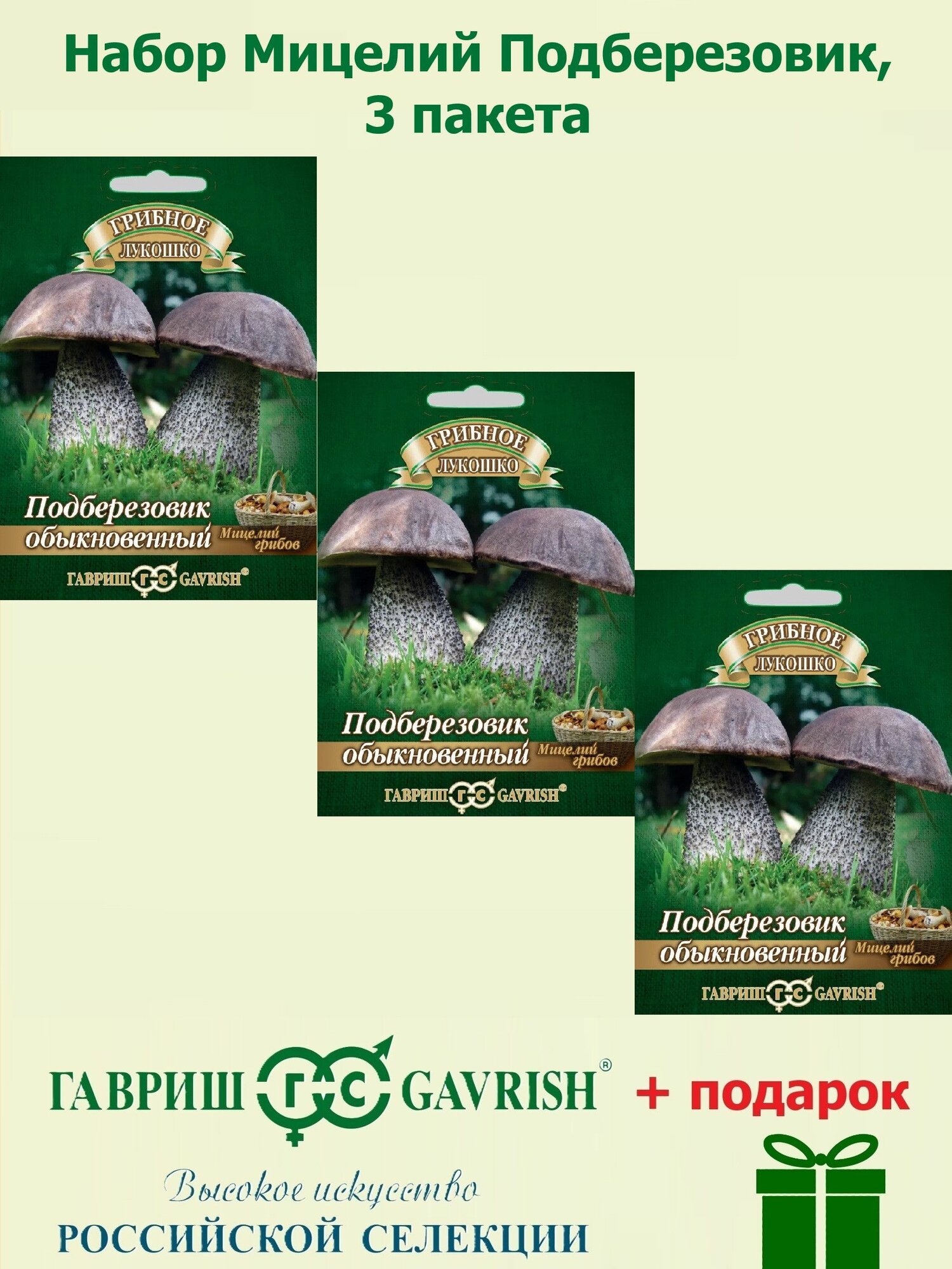 Набор Мицелий Подберезовик на зерновом субстрате 3 пакета Гавриш