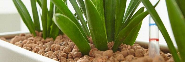 Керамзит "Торфуша", универсальный, для дренажа, размер частиц 1-3см, 1л — фото 1