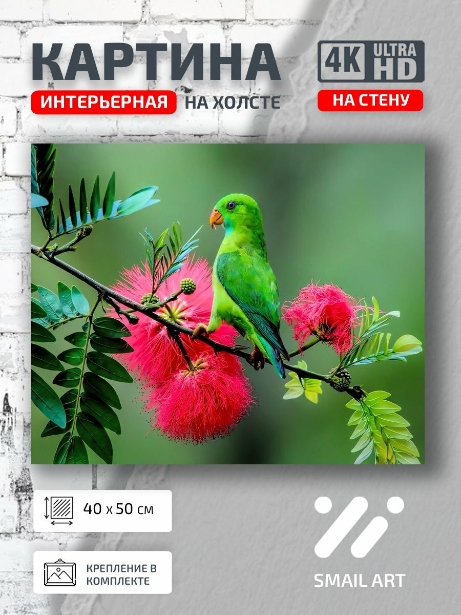 Картина на холсте интерьерная 40 на 50 на стену Попугай Landscape для гостиной пейзаж декор