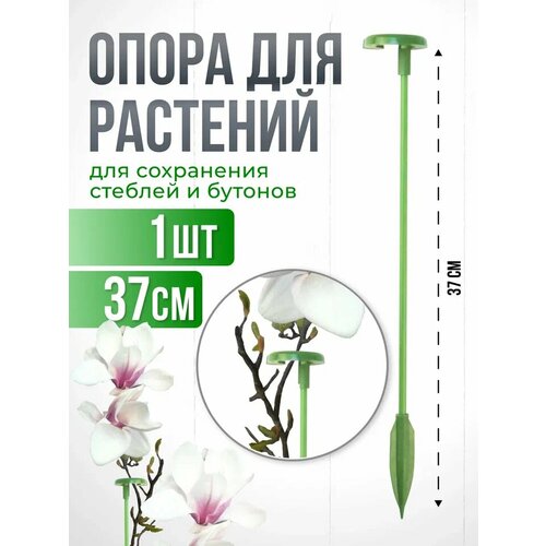 фото Опора для растений с кольцом, колышки садовые для рассады, для орхидей , комнатных цветов 37 см 1 шт агромадана