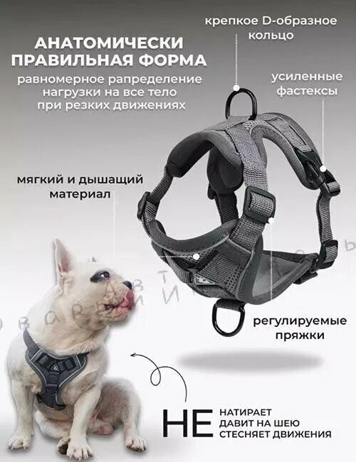Шлейка, регулируемая шлейка с поводком для прогулок с собакой и кошкой — фото 1