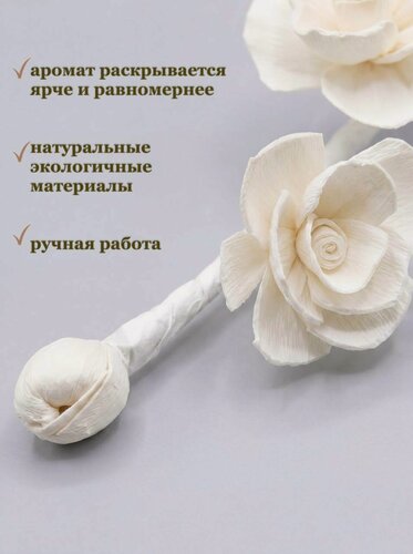 Изображение товара Цветы для ароматического диффузора Sola, из коры, 1 веточка, 18см