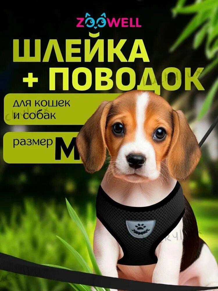 Шлейка, регулируемая шлейка с поводком для кошек, котят и собак мелких пород для прогулок и тренировок