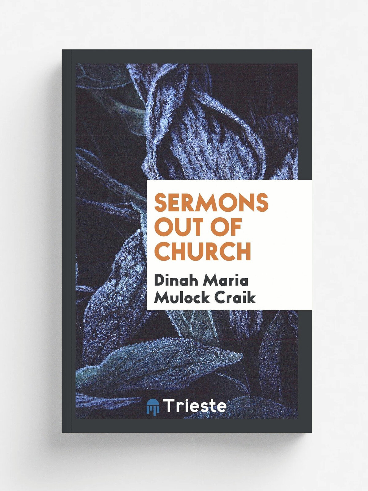 Sermons out of church