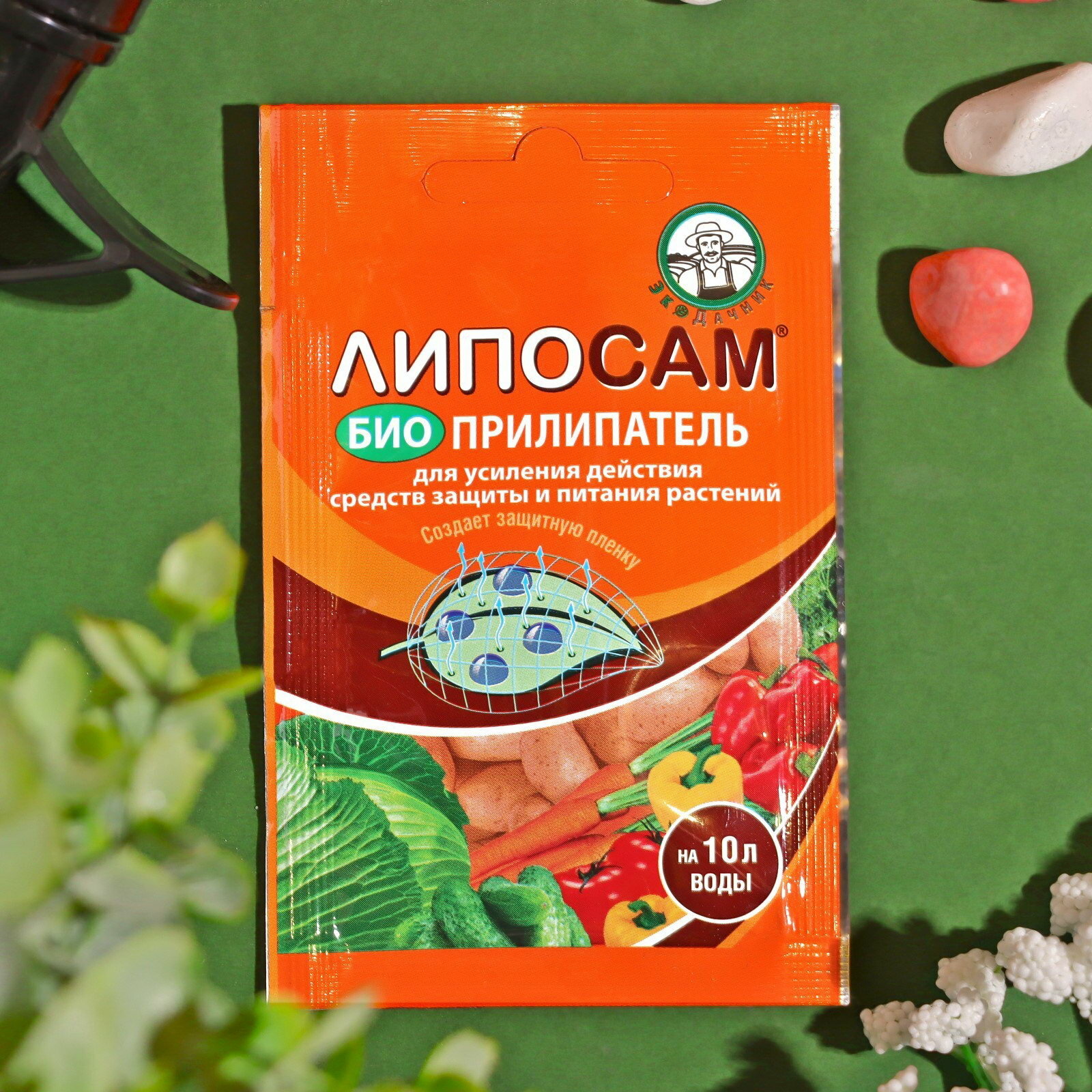 Прилипатель 