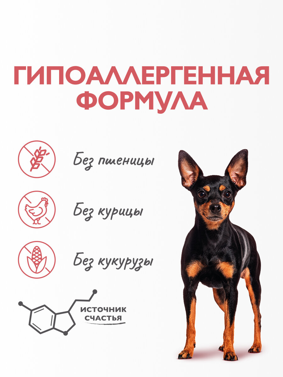 Сухой корм Brit Care Mini для привередливых собак мелких пород, гипоаллергенный с индейкой и уткой 0,4 кг — фото 1