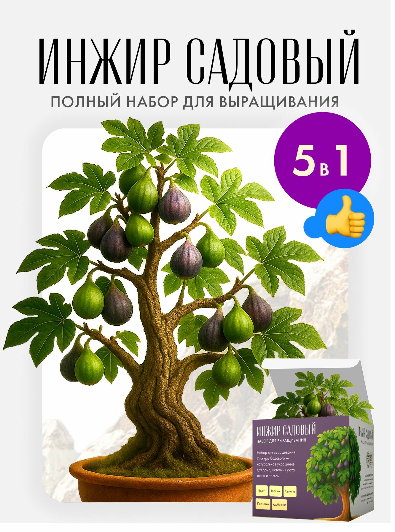 Инжир Садовый Набор для выращивания растений