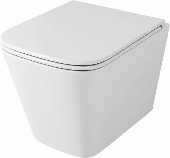 Унитаз подвесной Owl 1975 Vatter TOWLT190403S с микролифтом безободковый без бачка фарфоровый антивсплеск белый овальный