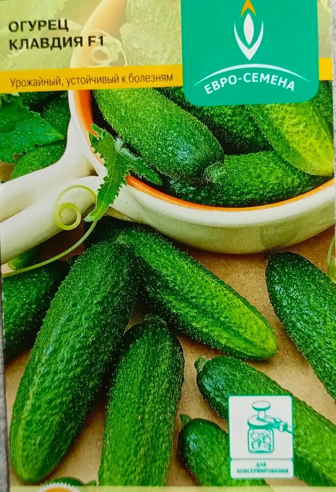 Семена сгурец Клавдия F1, самоопыляемый , среднеспелый гибрид голландской селекции. Евро-семена