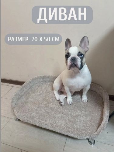 Изображение товара Лежанка для собак, Ван Кот, для средних пород, с бортиком на ножках, ковролин, бежевый, 70х50 см