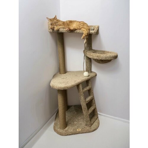 фото Комплекс для кошек игровой моя котя "эйфория", бежевый ковролин и джут