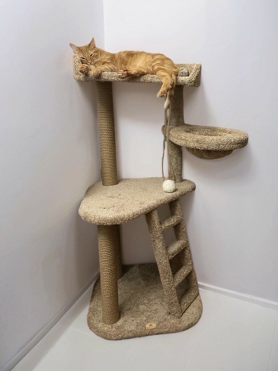 Комплекс для кошек игровой Моя Котя "Эйфория", бежевый ковролин и джут