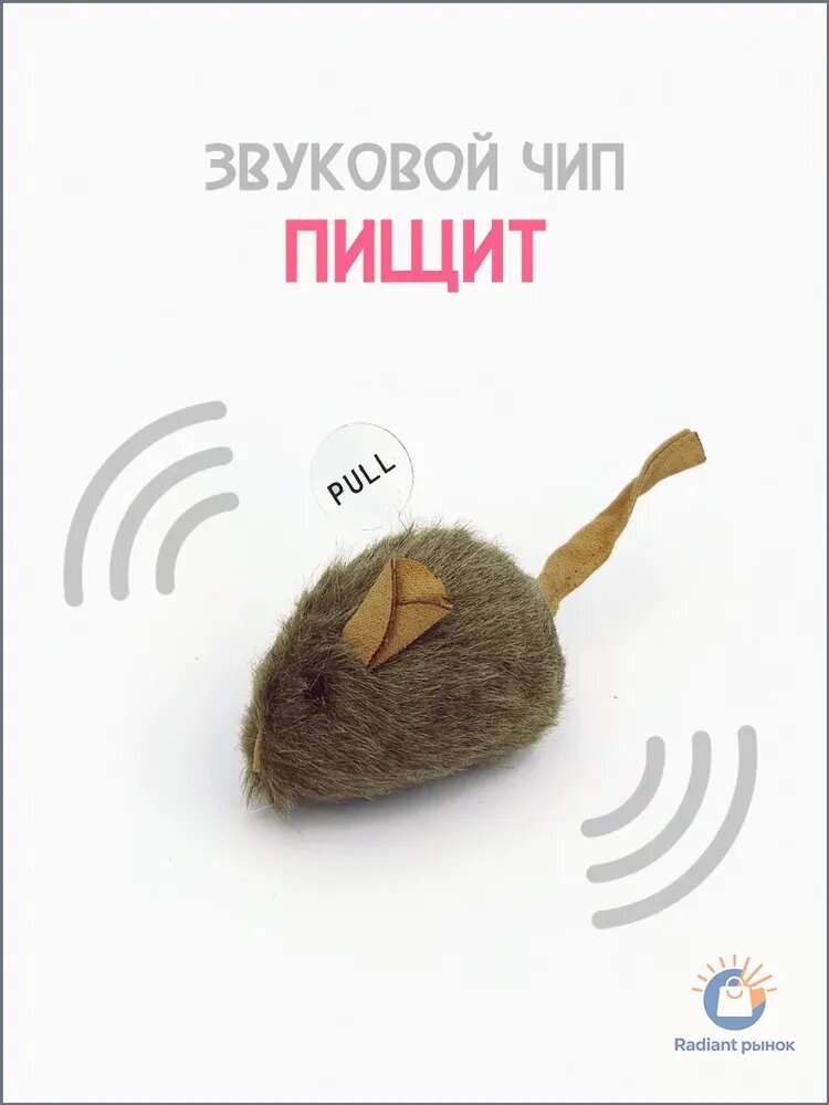 Эксклюзивный зоотовар, питомец