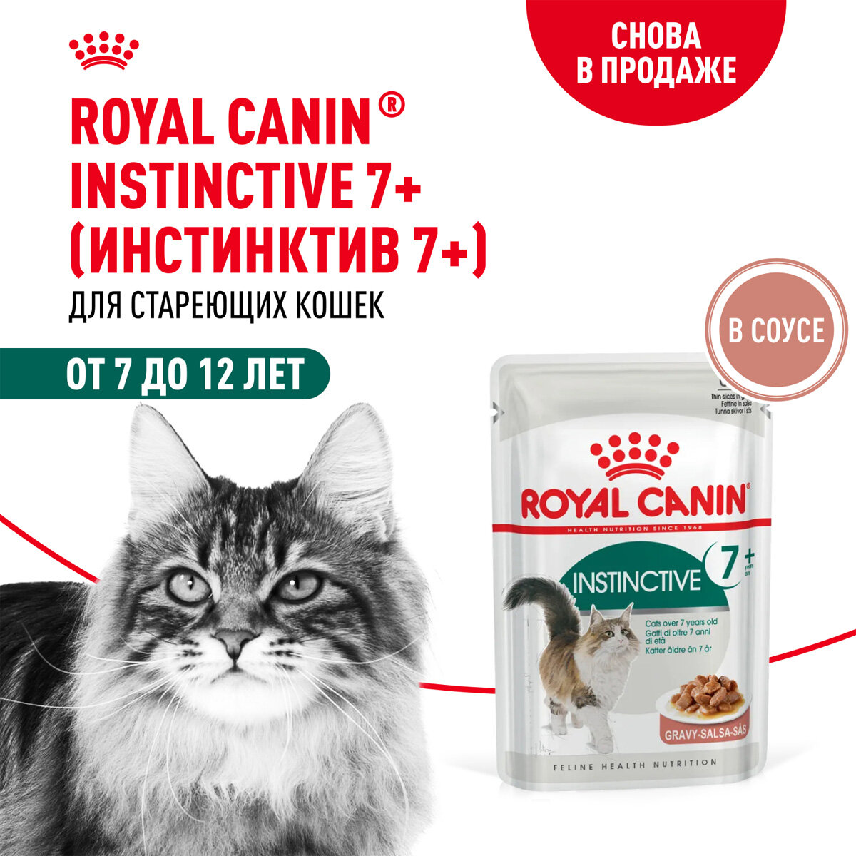 Корм влажный Royal Canin Instinctive 7+ для пожилых кошек старше 7 лет в соусе пауч, 85 г х 10 шт — фото 1