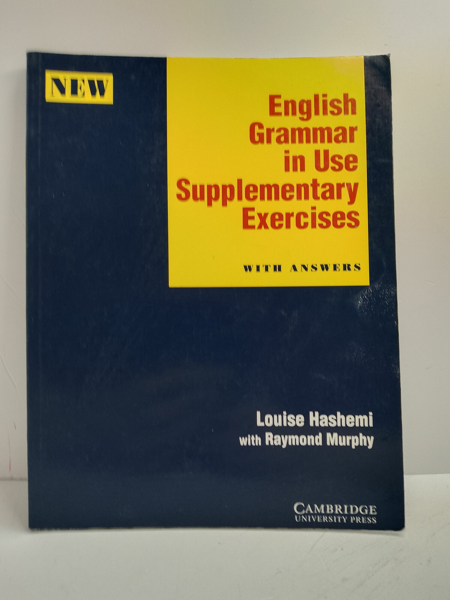 English Grammar in Use Supplementary Exercises / Используемые дополнительные упражнения по английской грамматике