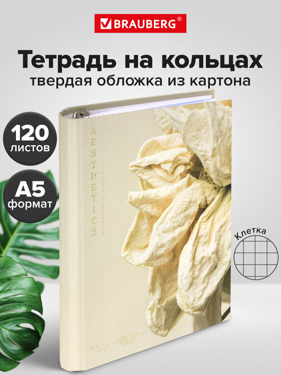 Тетрадь на кольцах А5 в клетку со сменным блоком 175х215 мм, 120 листов, обложка твердый картон, Brauberg Softness, 404722
