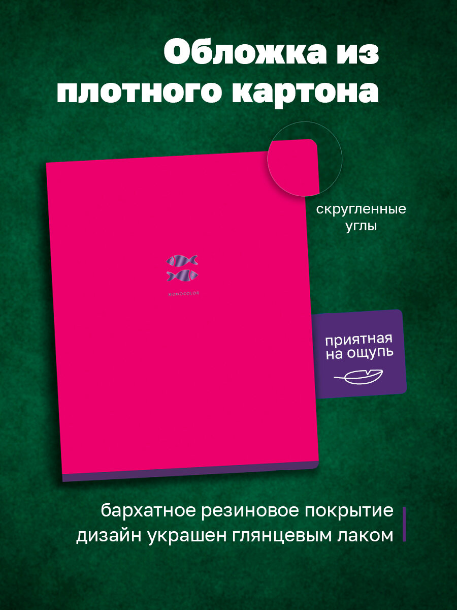 Тетрадь для школы общая в клетку 48 листов BG "Monocolor. Element", формат А5, soft-touch / Набор тетрадей 4 штуки — фото 1