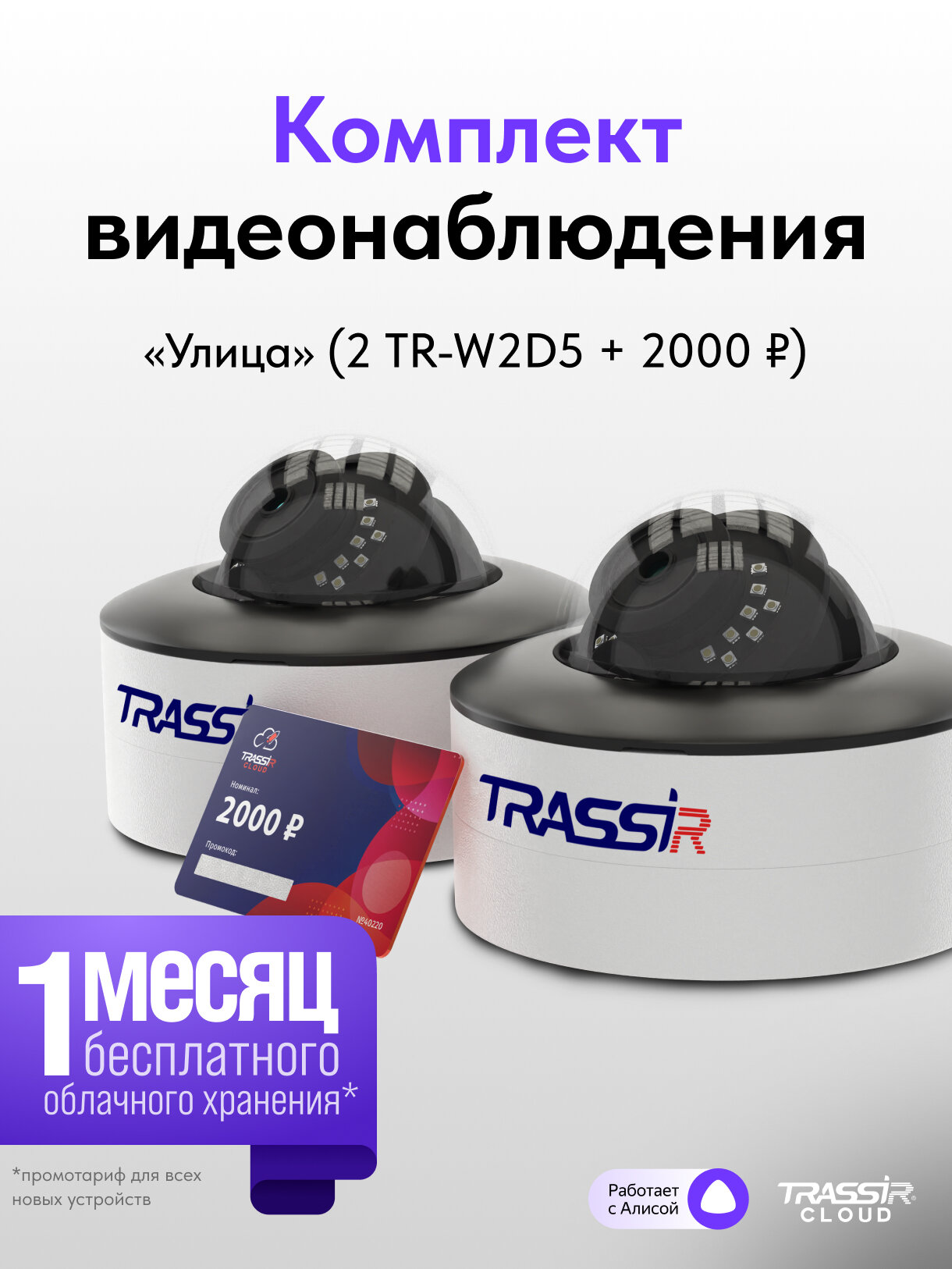 Комплект облачного видеонаблюдения TRASSIR «Улица» 2 камеры с WiFi