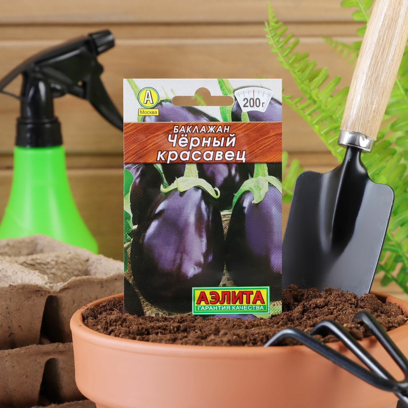 Семена Баклажан 