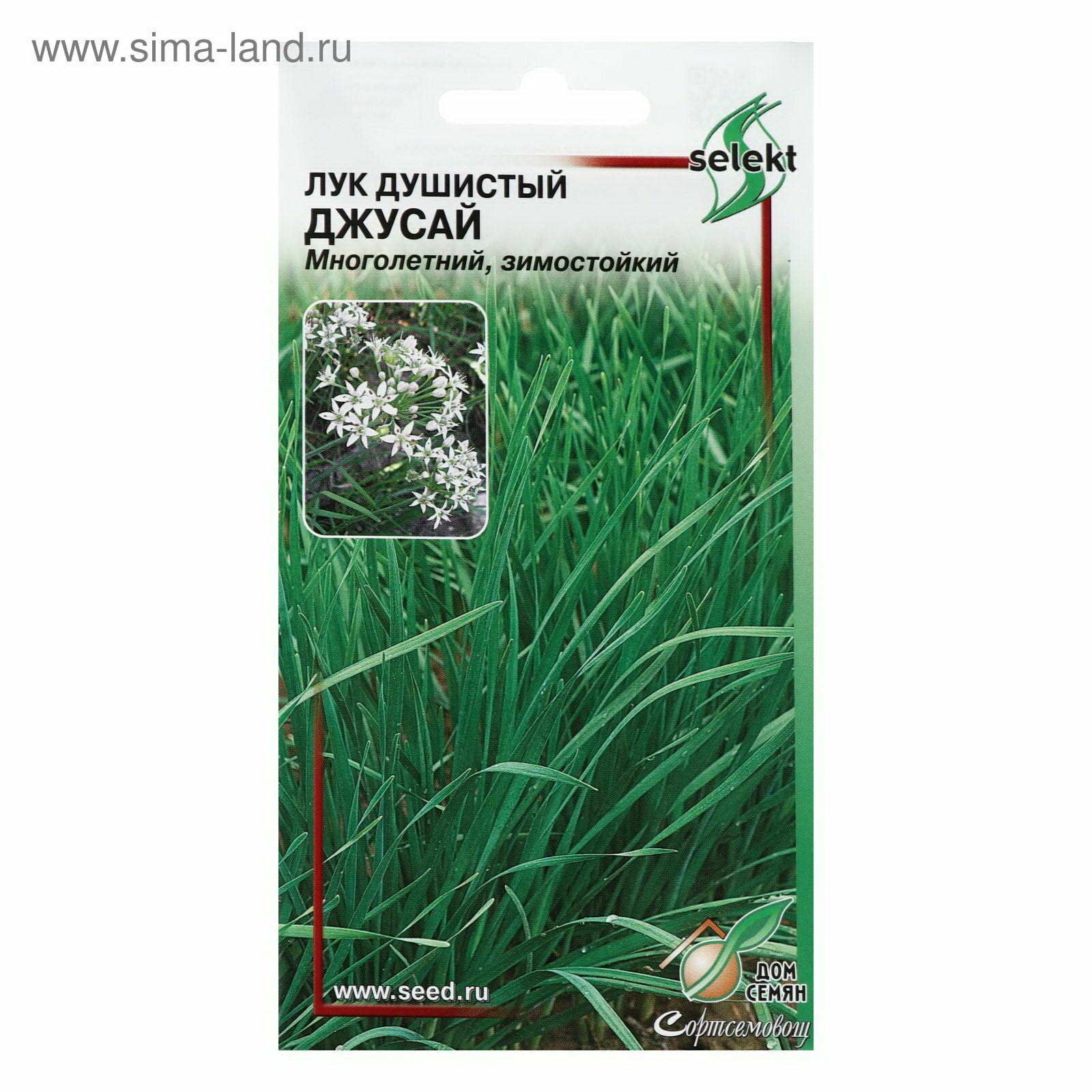 Семена Лук душистый 