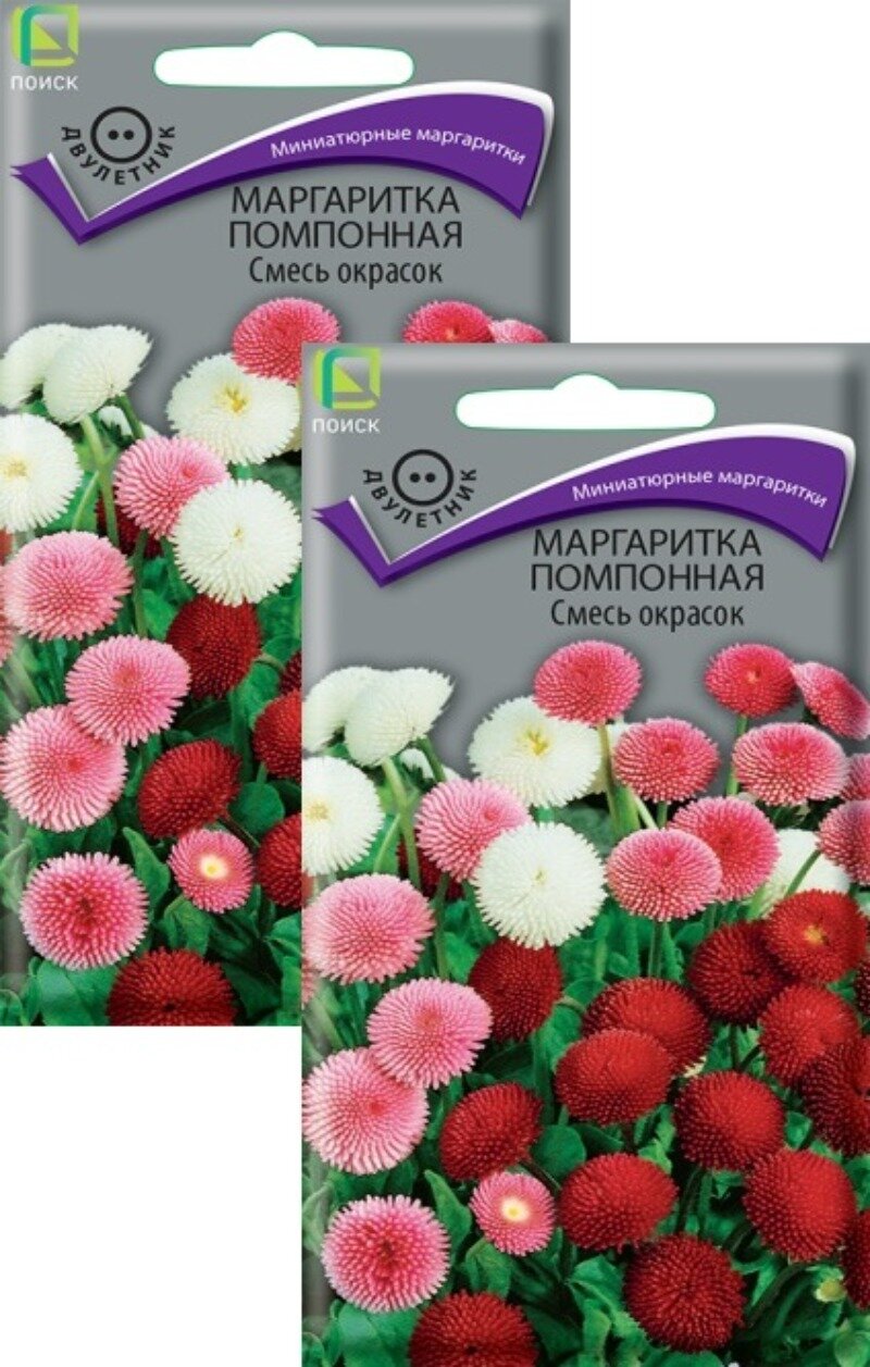 Семена Маргаритка помпонная Смесь окрасок (005 г) 2 пакета Агрофирма Поиск