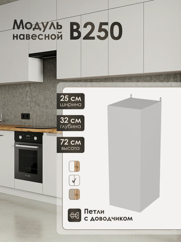 Изображение товара Кухонный модуль навесной Frenesie ЛофтВ250, белый, 25 см, ЛДСП, петли с доводчиками