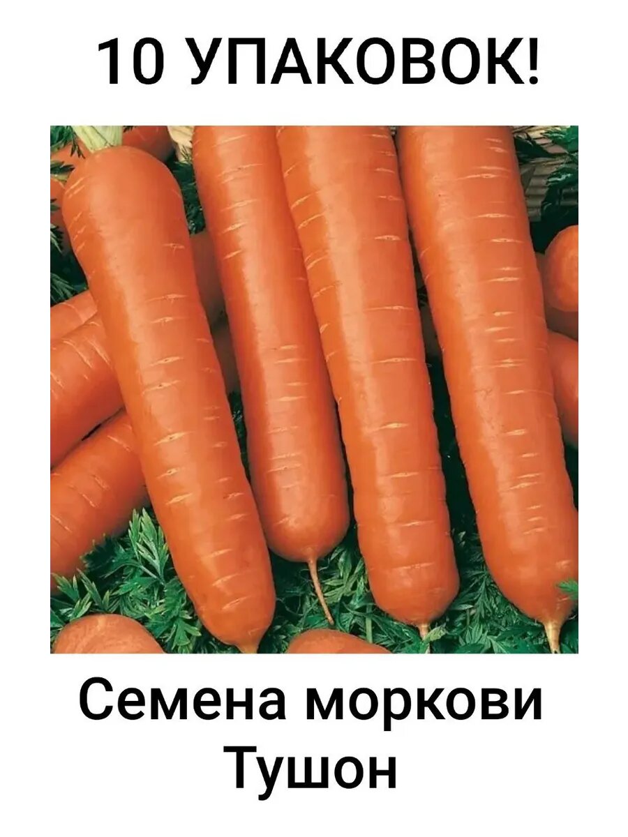 Семена моркови Тушон 10 упаковок по 15 г