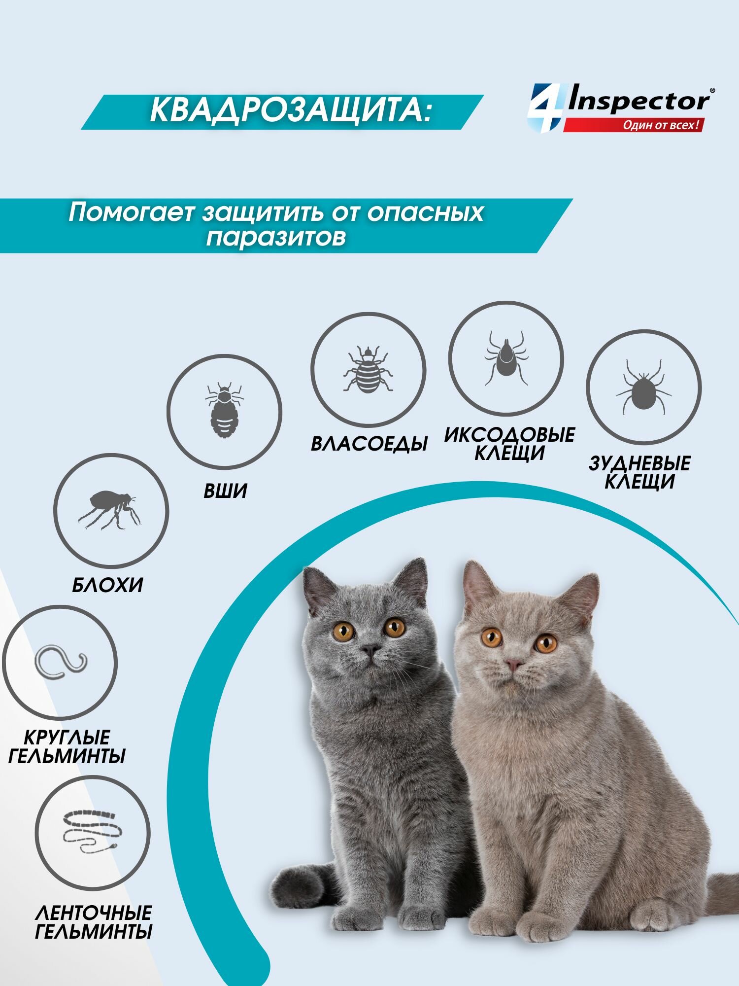 Инспектор Квадро К Капли для кoшек 4-8 кг. от блох, клещей, гельминтов (1 пипетка) — фото 1