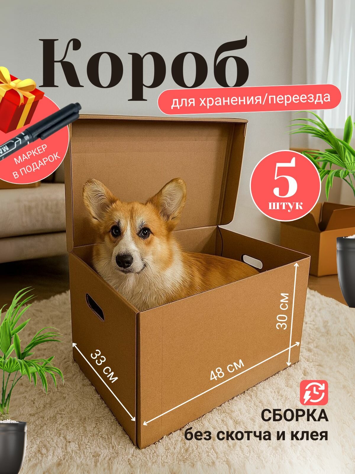 Коробки для переезда-Короб архивный 5 шт.