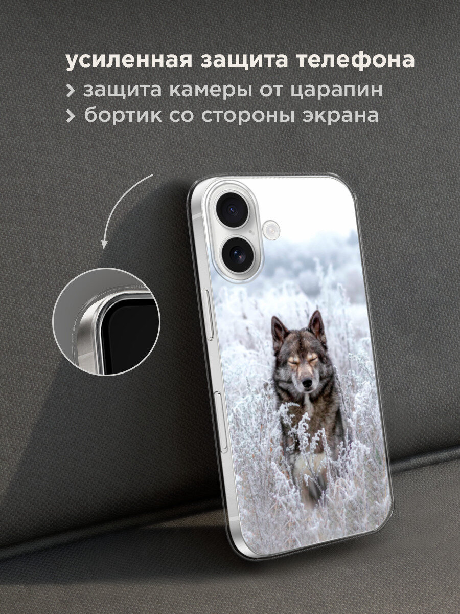 Силиконовый чехол на Apple iPhone 17 / Айфон 17 с принтом Волк в поле — фото 1