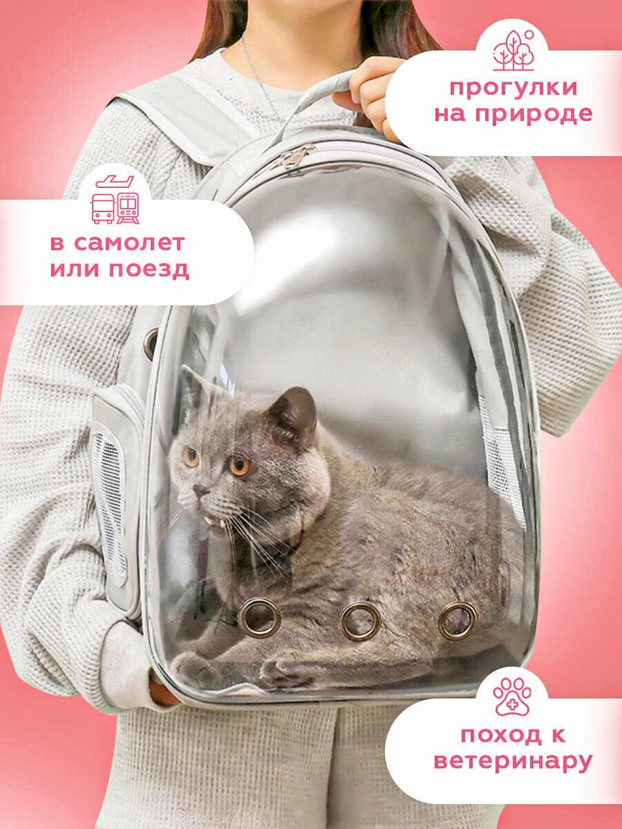Изображение Переноска-рюкзак для животных, прозрачная дверца, для разных животных