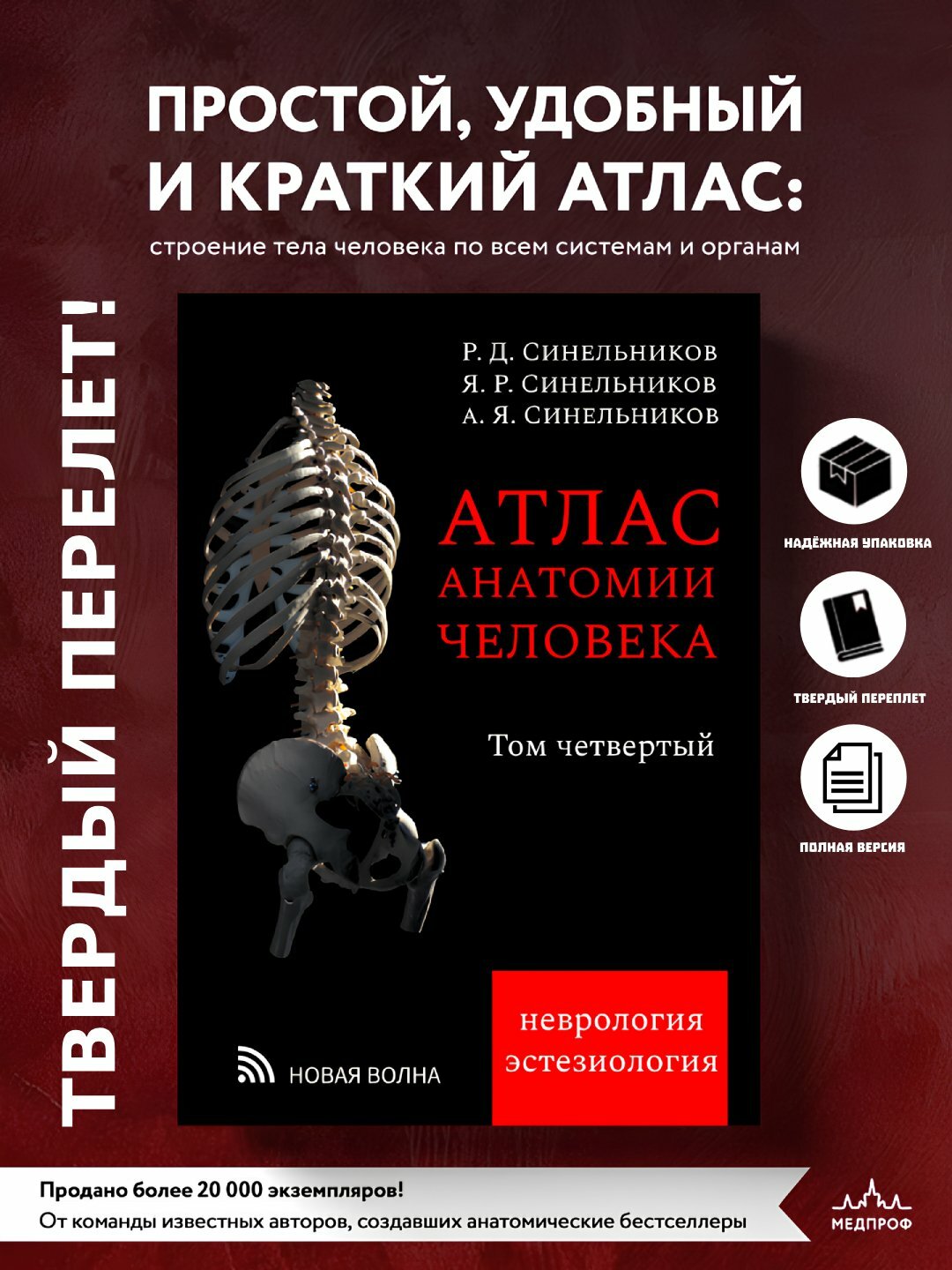 Атлас анатомии человека. Том 4 – наглядное пособие по строению тела и органам для студентов и врачей