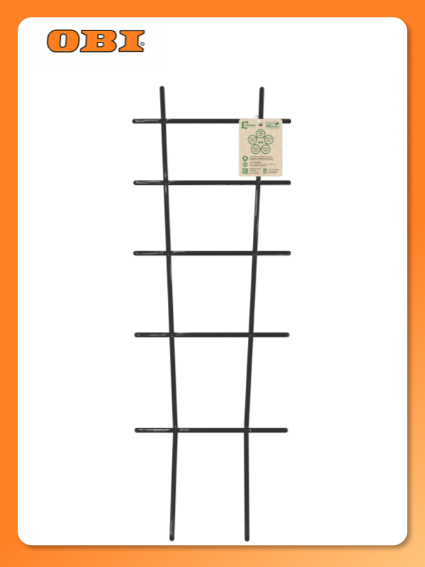 Опора для растений InGreen коллекция Ireen republic, пластиковая, оникс, 500Х180Х4