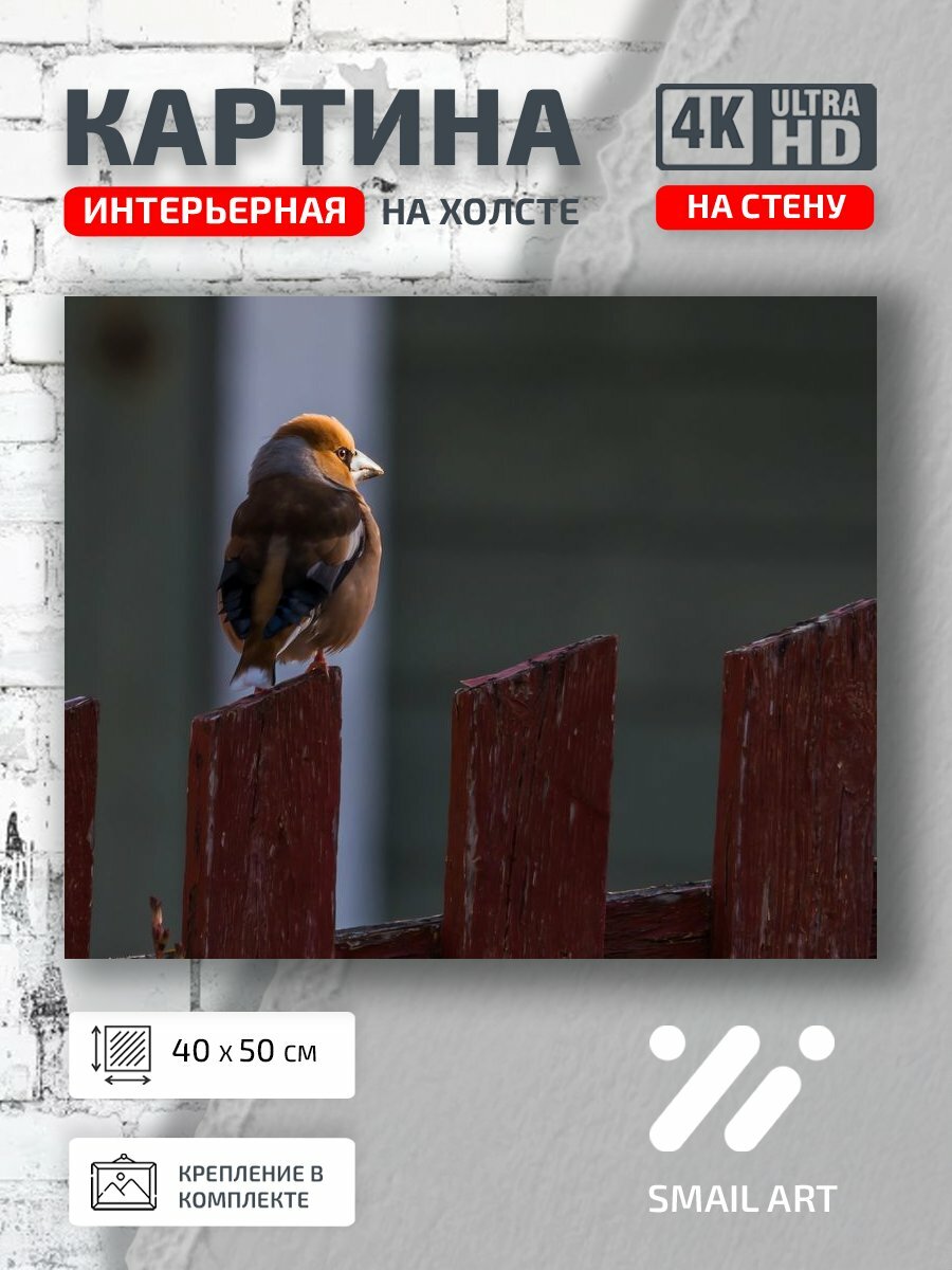 Картина на холсте интерьерная 40 на 50 на стену Забор Mood для кабинета атмосфера интерьер