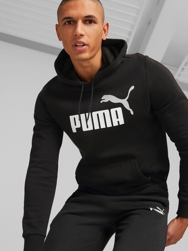 Худи ESS 2 COLOR No. 1 Logo